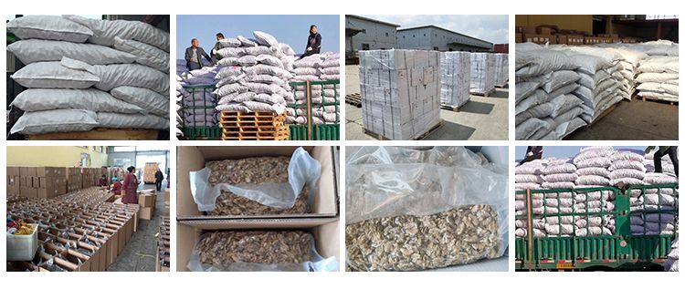 Wholesale lower price shelled 14